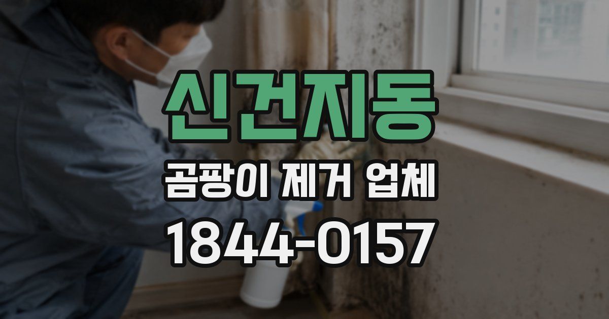 신건지동 곰팡이 제거 업체