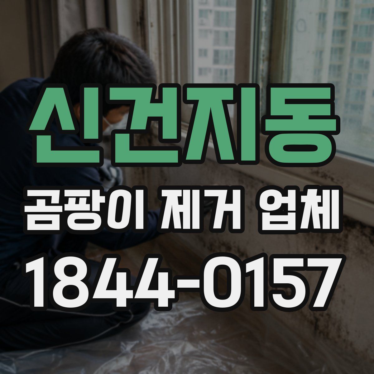 신건지동 곰팡이 제거 업체