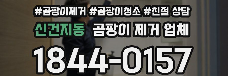 신건지동 곰팡이 제거 업체