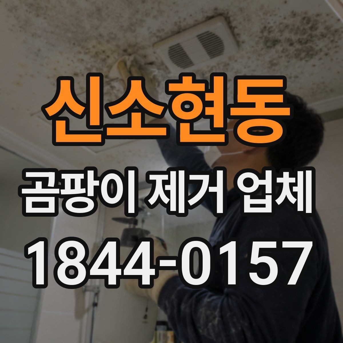 신소현동 곰팡이 제거 업체 선정 시 주의할 부분