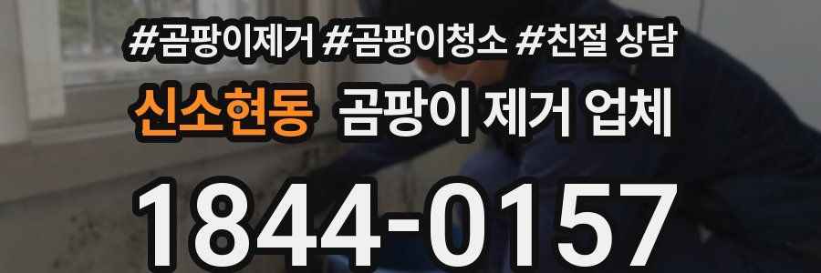 신소현동 곰팡이 제거 업체