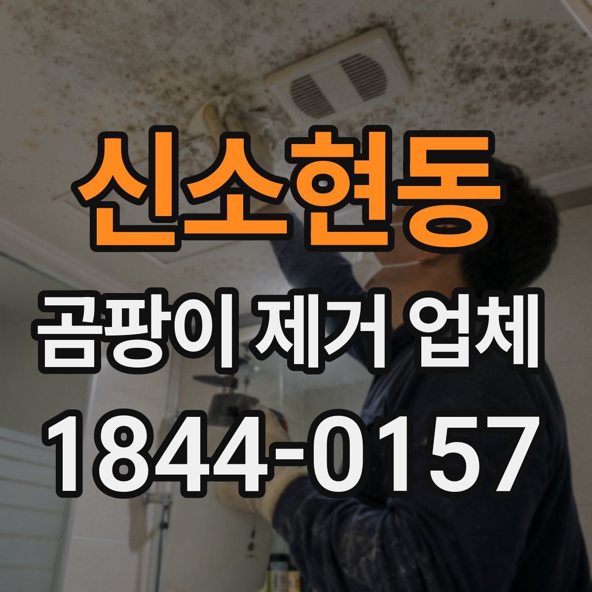 신소현동 곰팡이 제거 업체