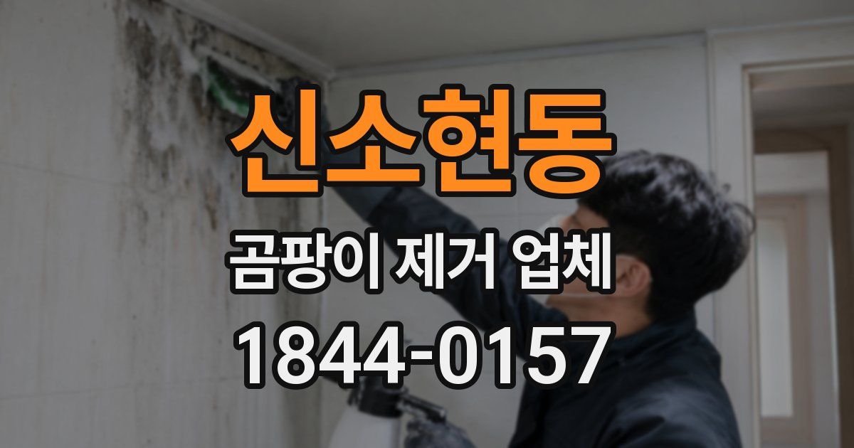 신소현동 곰팡이 제거 업체