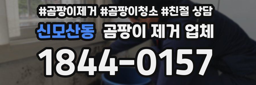 신모산동 곰팡이 제거 업체