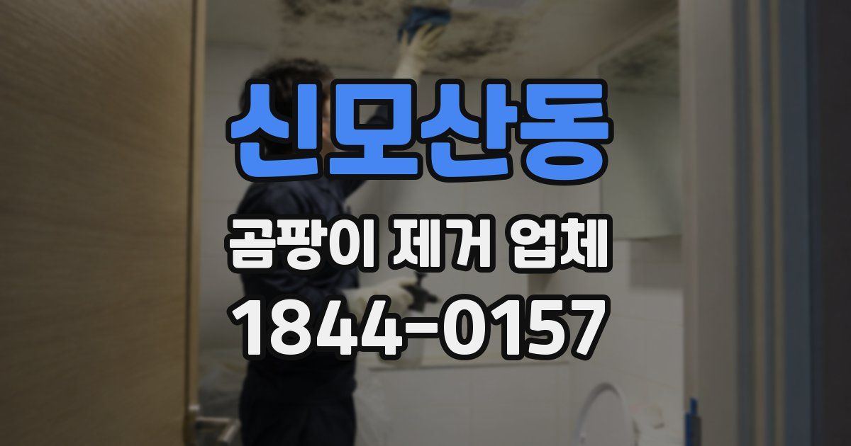 신모산동 곰팡이 제거 업체