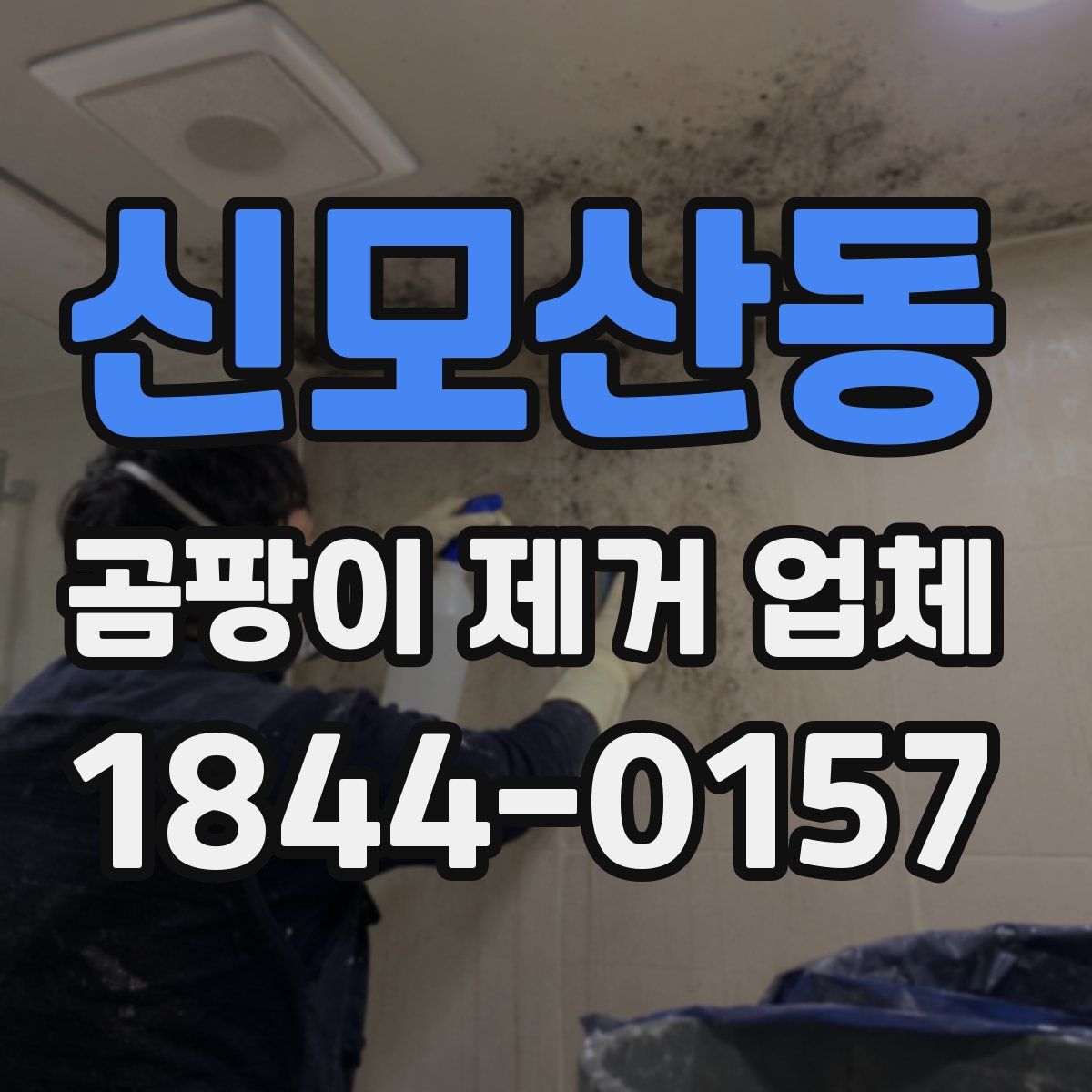 신모산동 곰팡이 제거 업체