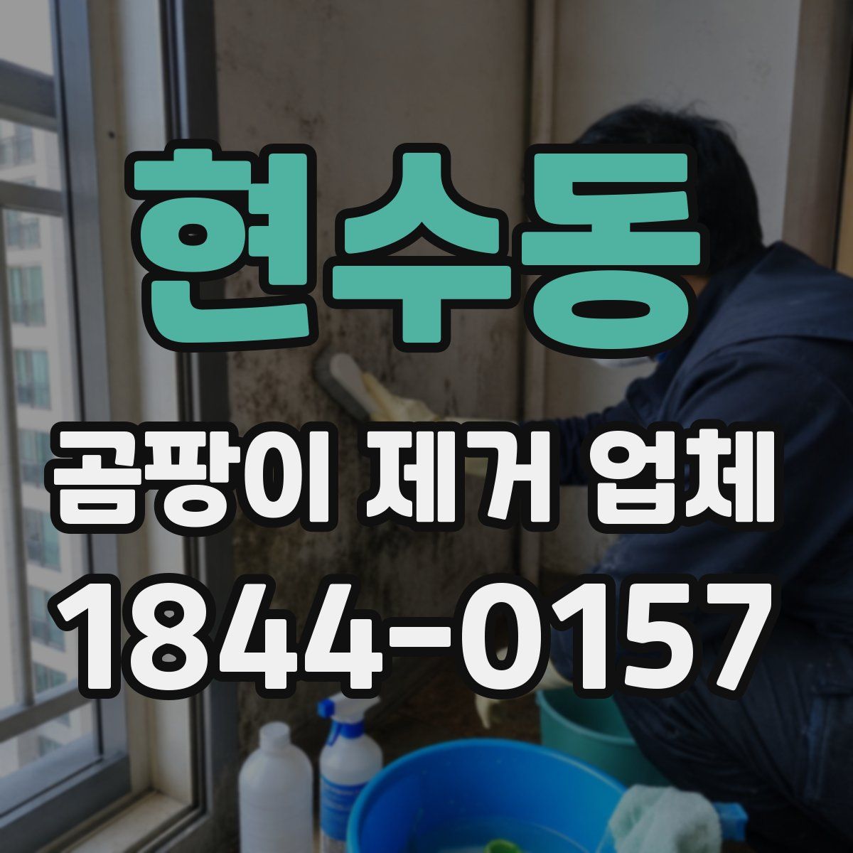 현수동 곰팡이 제거 업체