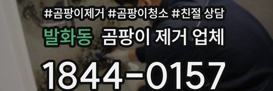 발화동 곰팡이 제거 업체