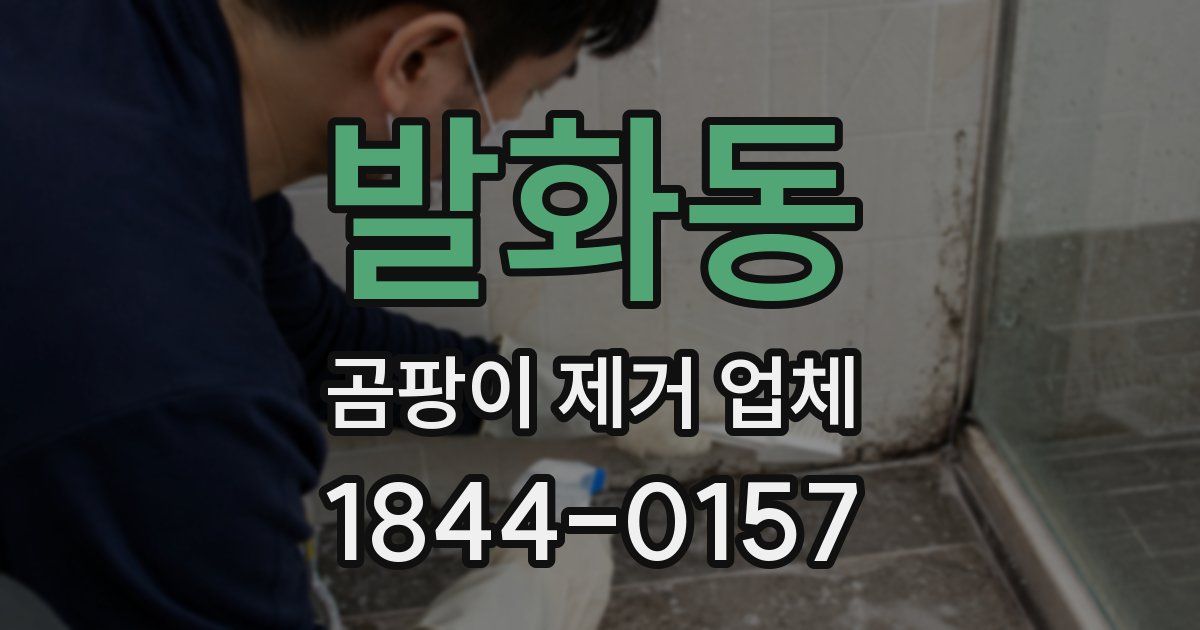 발화동 곰팡이 제거 업체