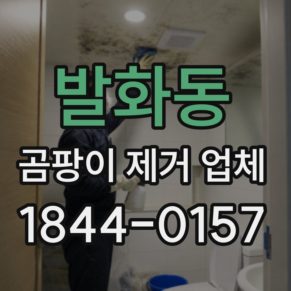 발화동 곰팡이 제거 업체