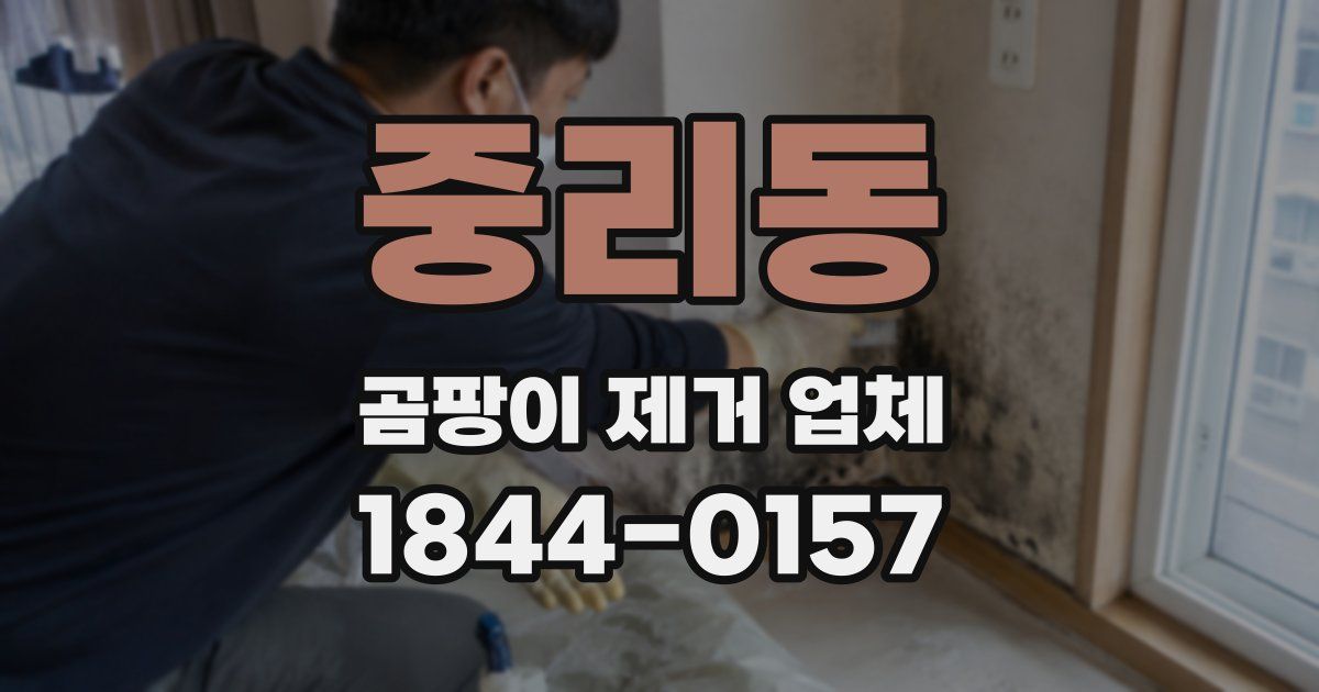 중리동 곰팡이 제거 업체