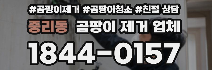 중리동 곰팡이 제거 업체