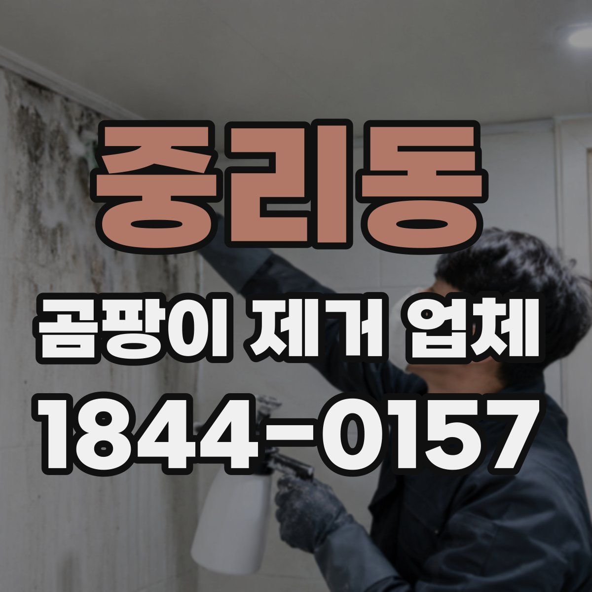 중리동 곰팡이 제거 업체