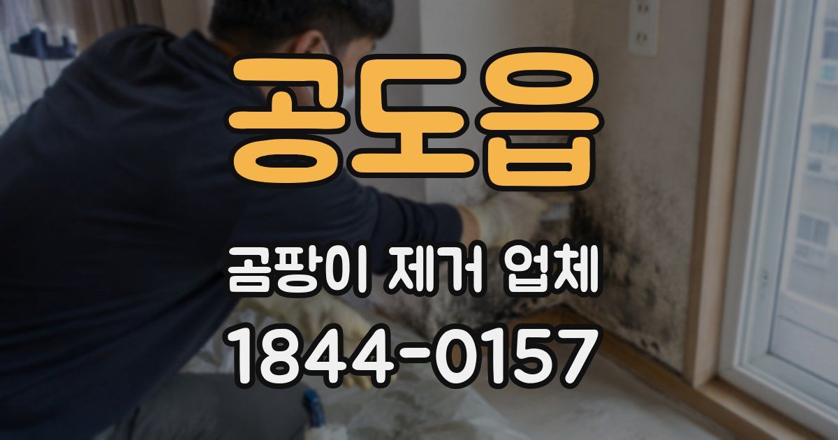 공도읍 곰팡이 제거 업체