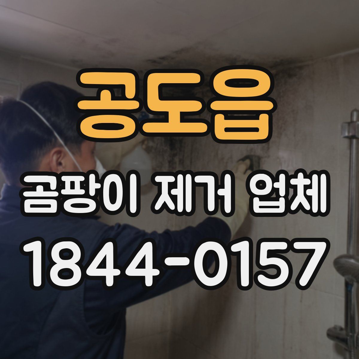 공도읍 곰팡이 제거 업체