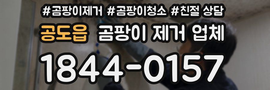 공도읍 곰팡이 제거 업체