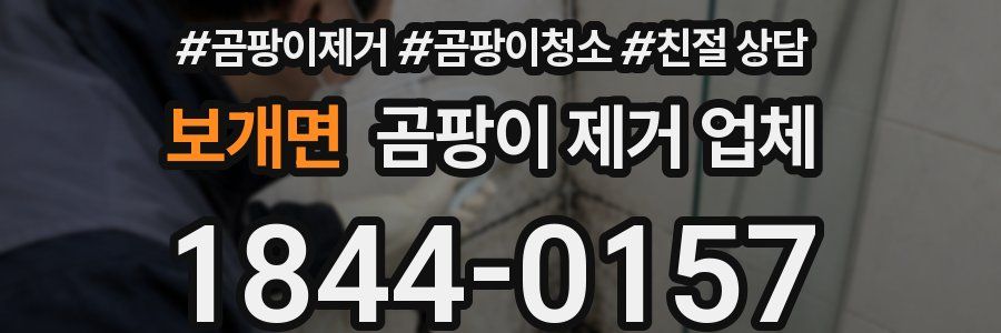 보개면 곰팡이 제거 업체