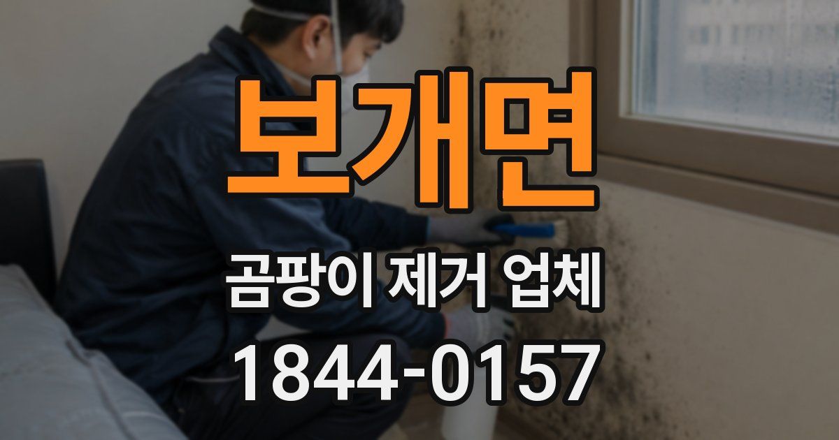 보개면 곰팡이 제거 업체