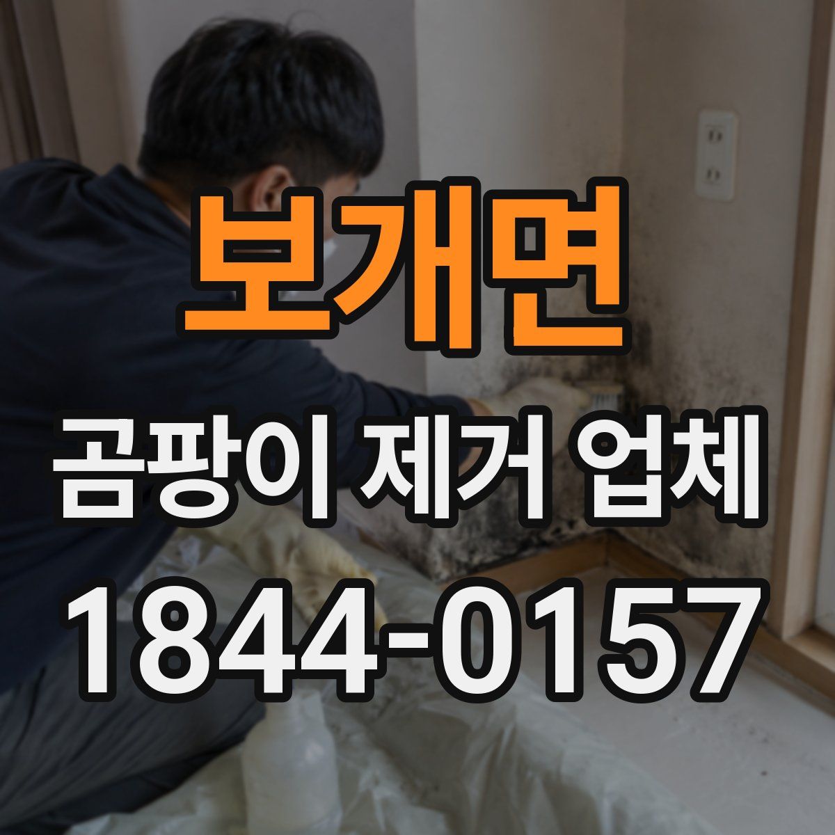 보개면 곰팡이 제거 업체