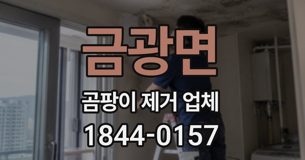 금광면 곰팡이 제거 업체