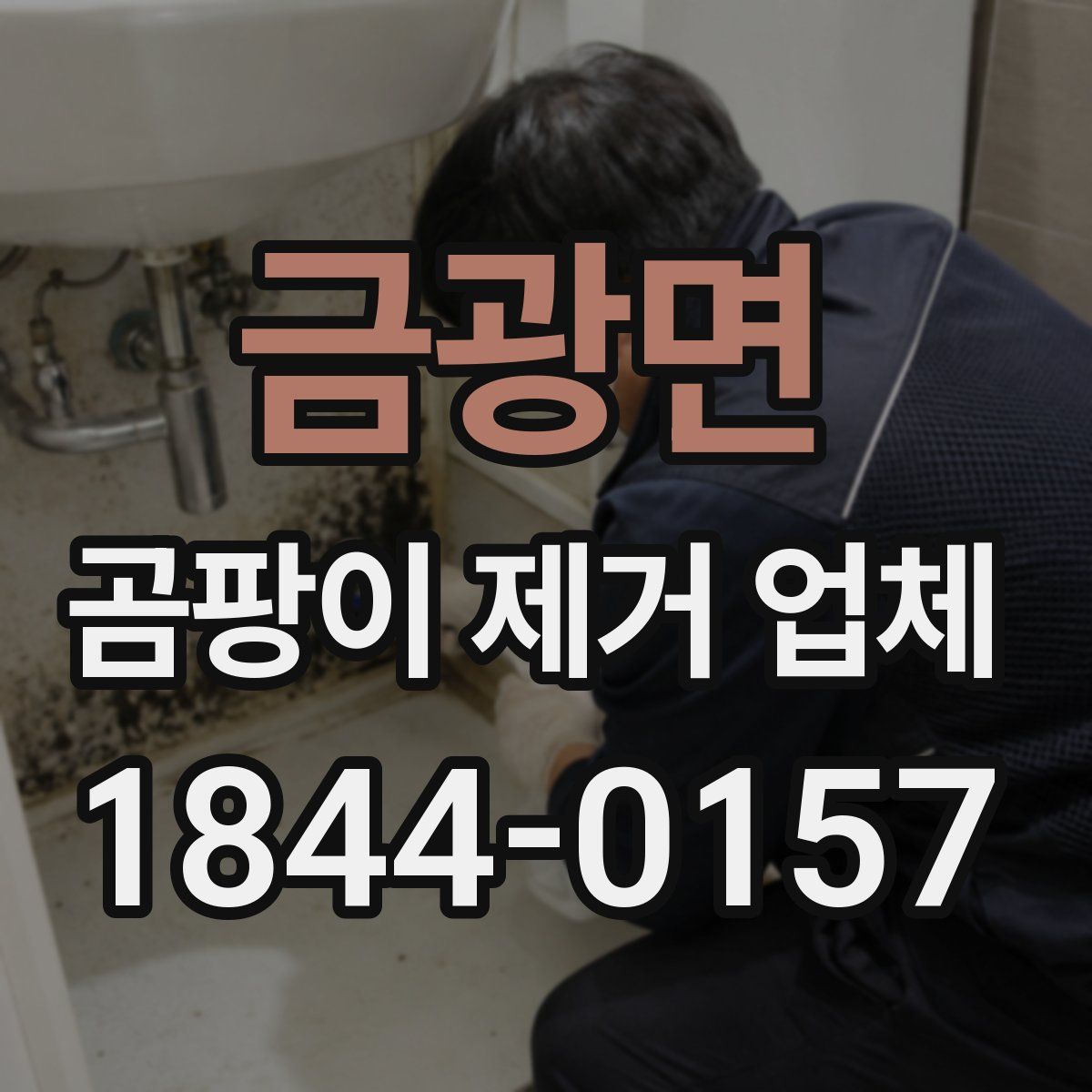 금광면 곰팡이 제거 업체