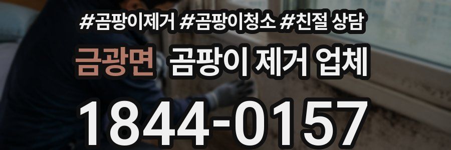금광면 곰팡이 제거 업체