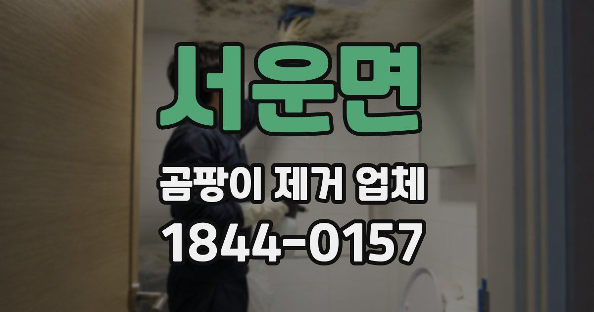 서운면 곰팡이 제거 업체