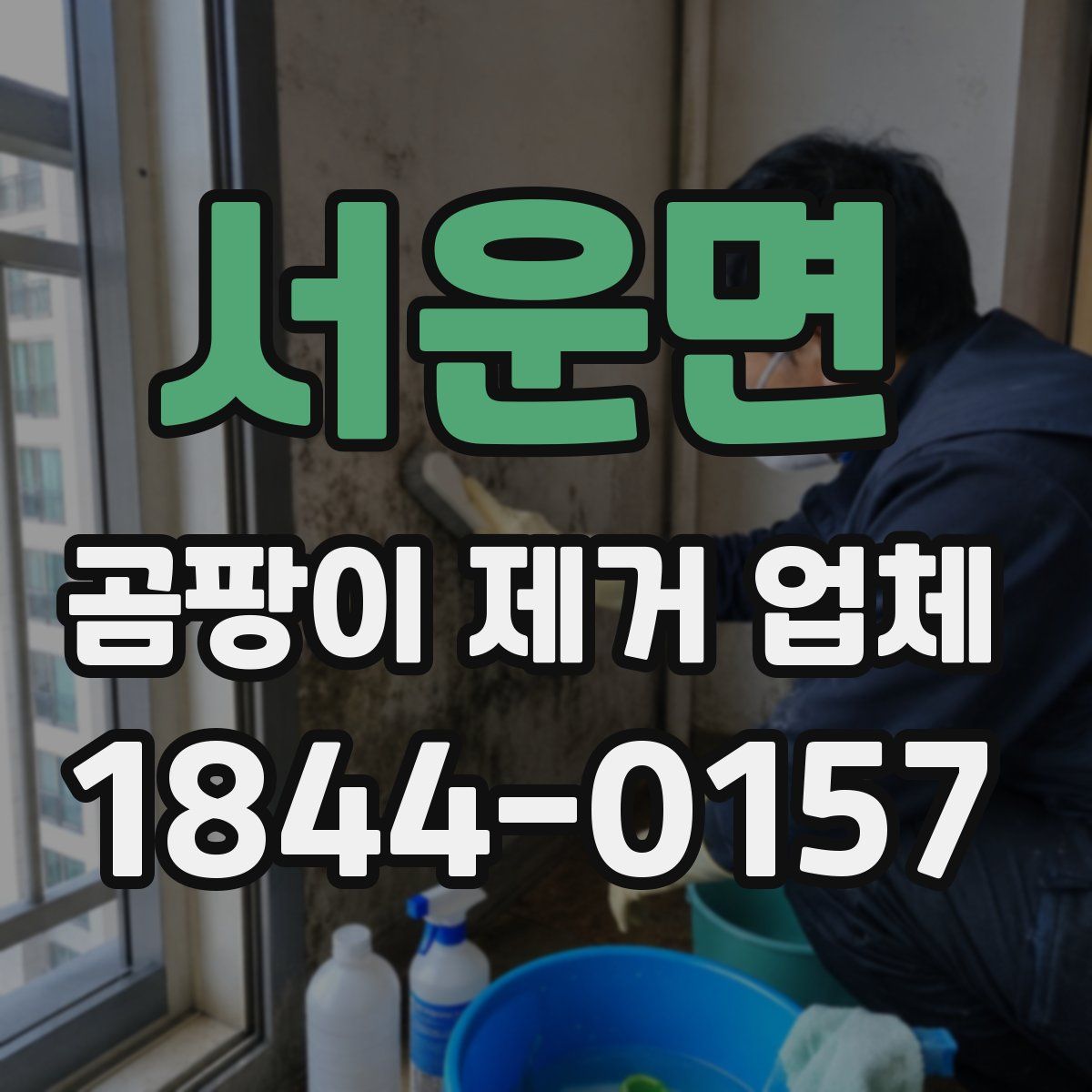 서운면 곰팡이 제거 업체