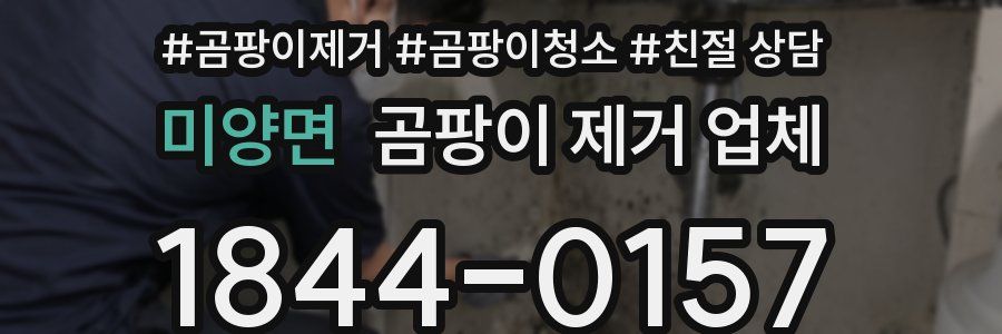 미양면 곰팡이 제거 업체