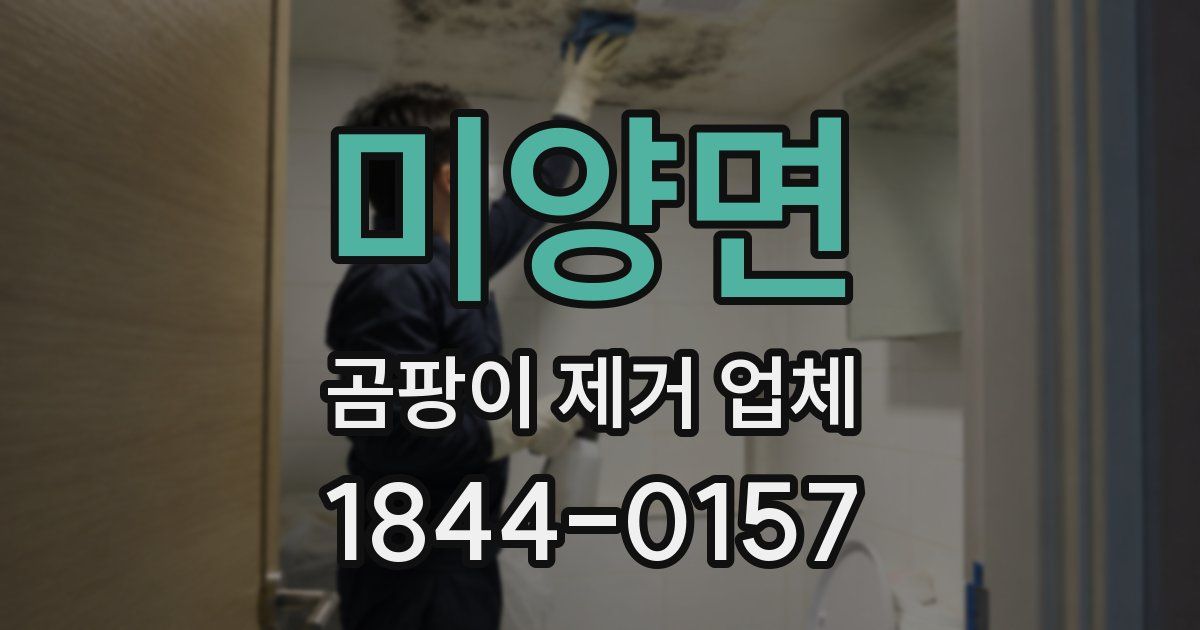 미양면 곰팡이 제거 업체