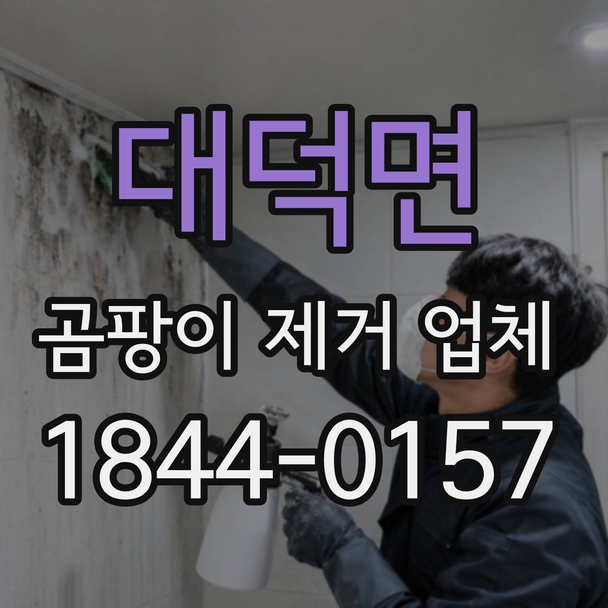 대덕면 곰팡이 제거 업체
