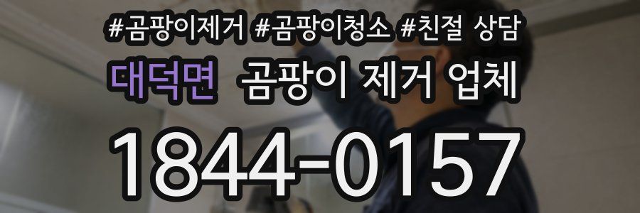 대덕면 곰팡이 제거 업체