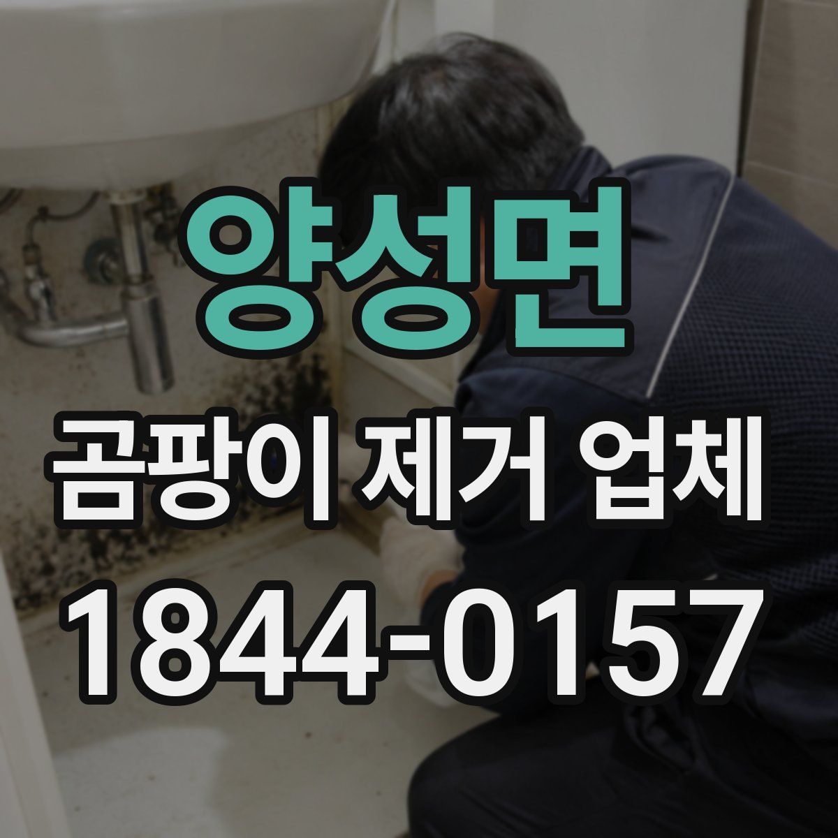 양성면 곰팡이 제거 업체