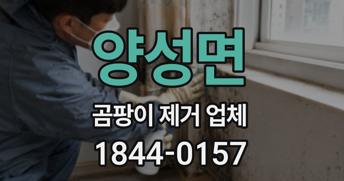 양성면 곰팡이 제거 업체