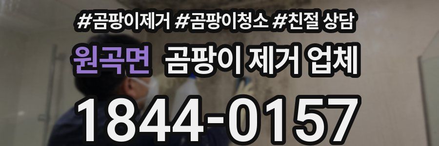 원곡면 곰팡이 제거 업체