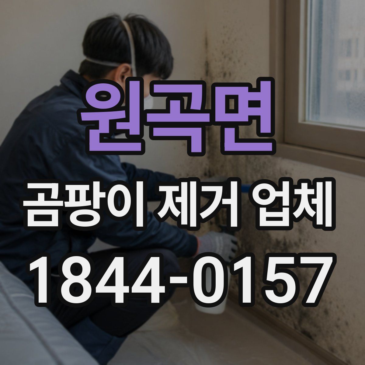 원곡면 곰팡이 제거 업체