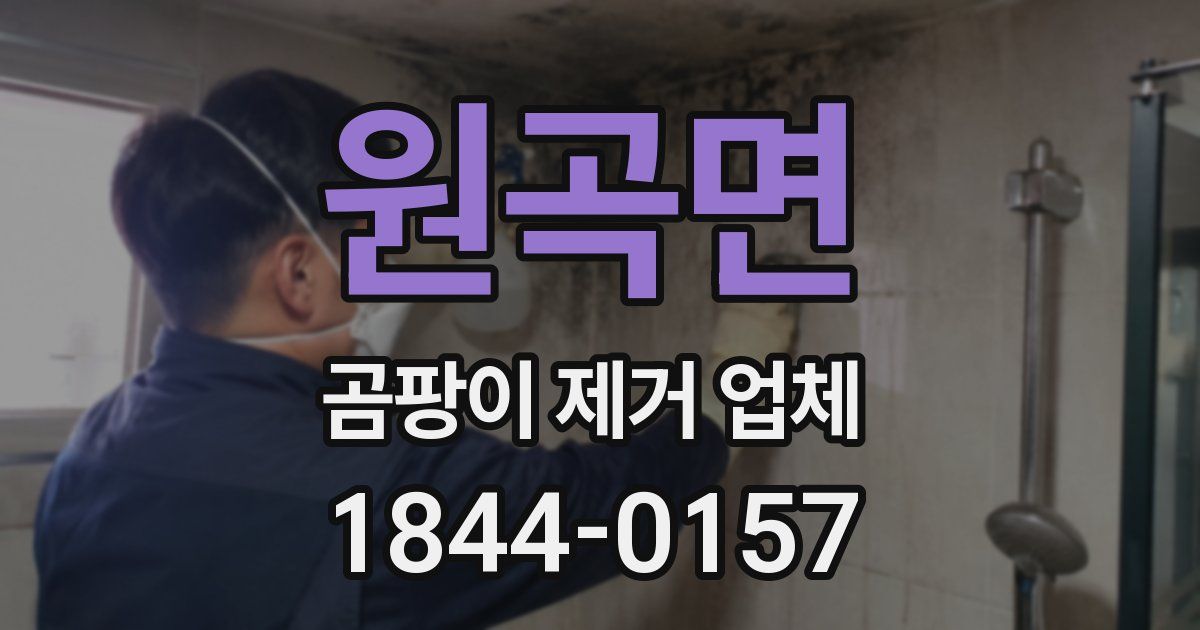 원곡면 곰팡이 제거 업체