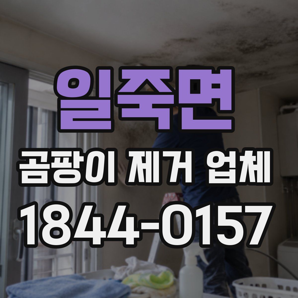 일죽면 곰팡이 제거 업체