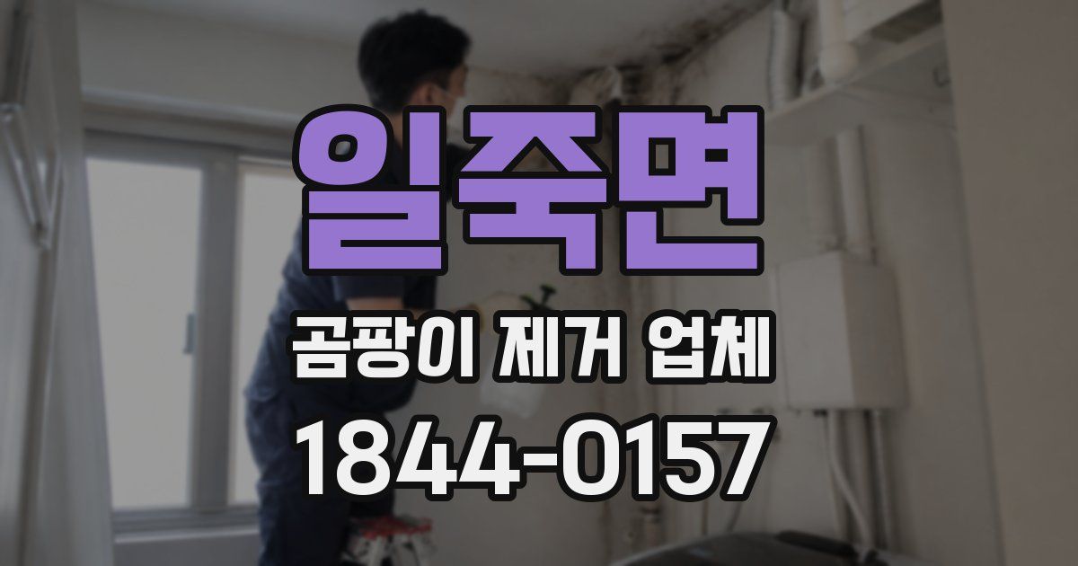 일죽면 곰팡이 제거 업체