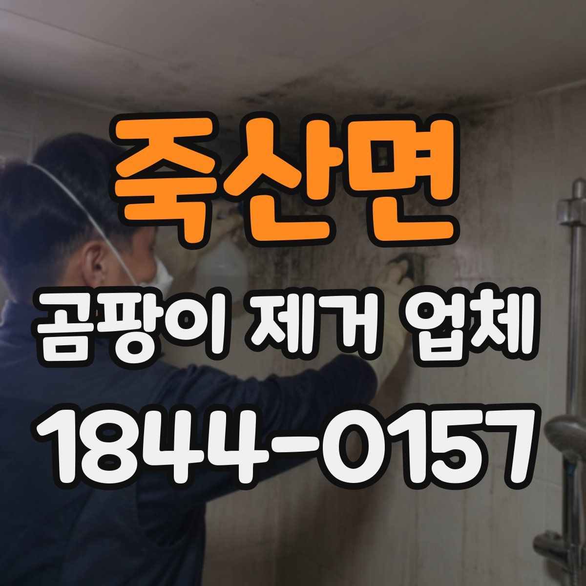 죽산면 곰팡이 제거 업체