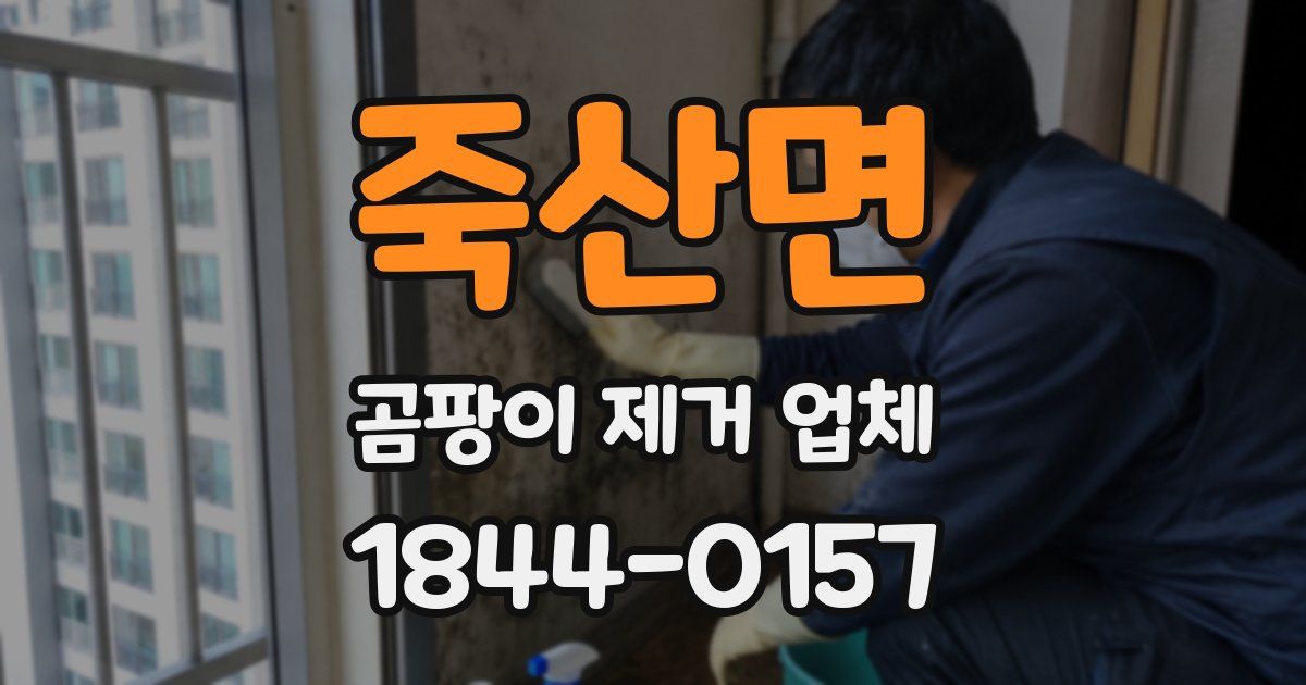 죽산면 곰팡이 제거 업체