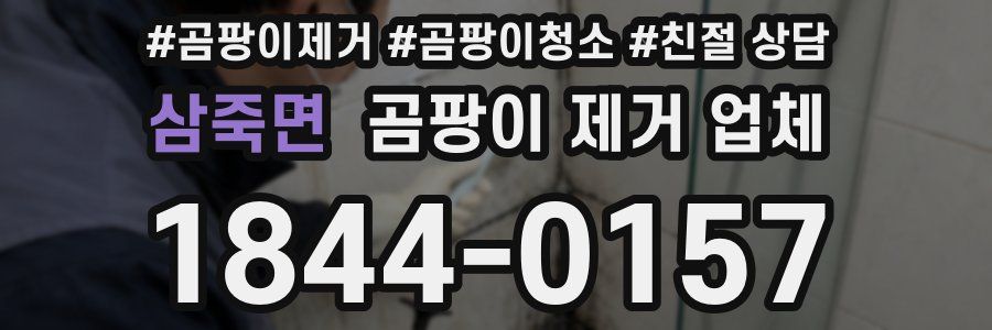 삼죽면 곰팡이 제거 업체