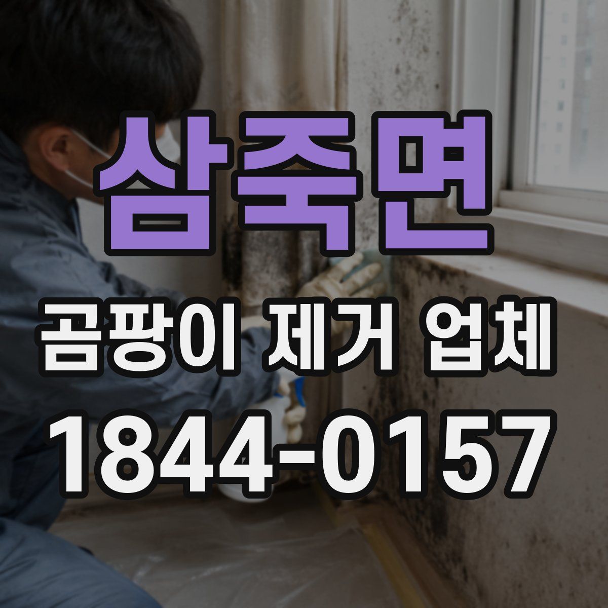 삼죽면 곰팡이 제거 업체