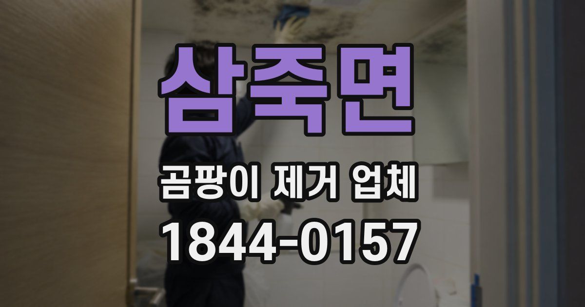 삼죽면 곰팡이 제거 업체