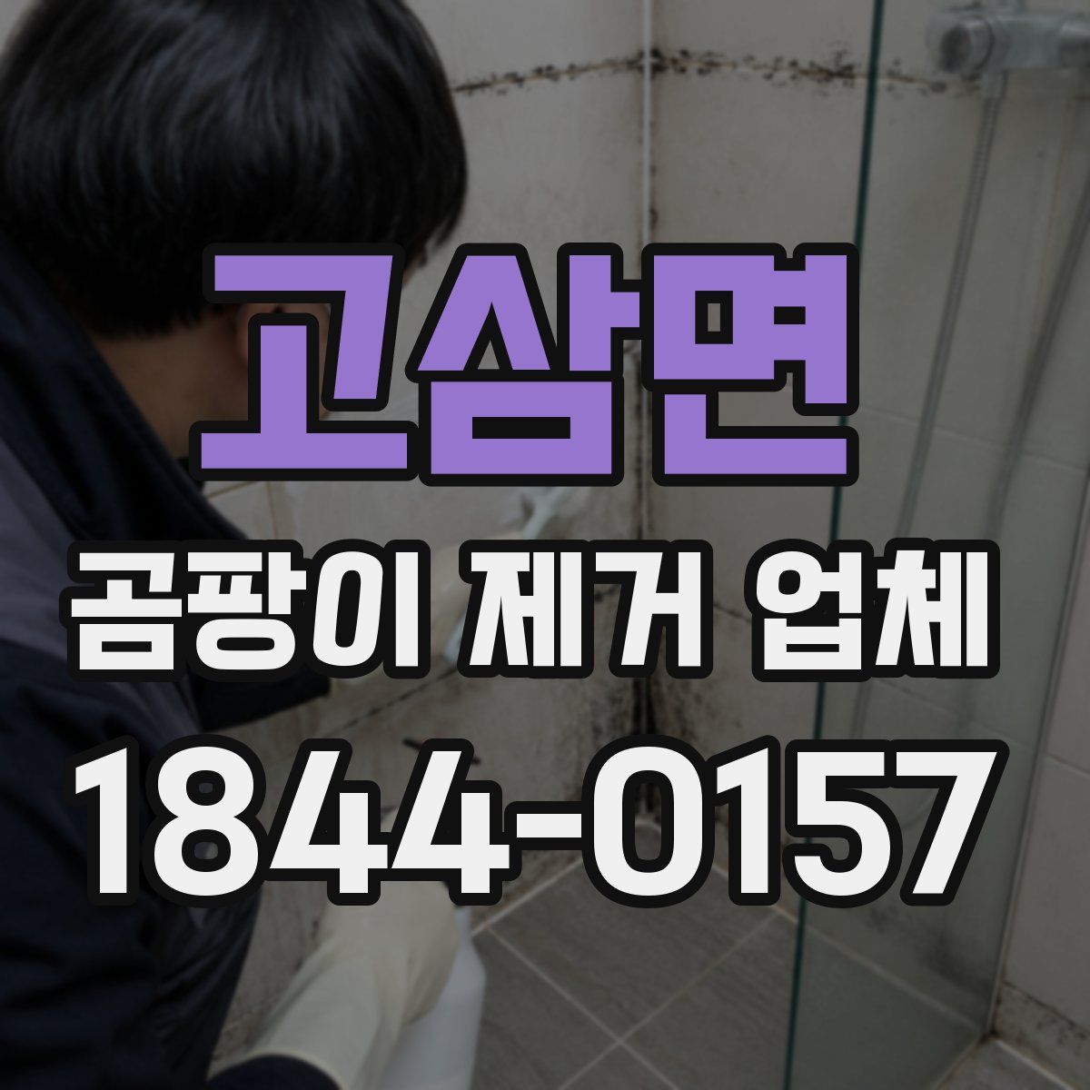 고삼면 곰팡이 제거 업체