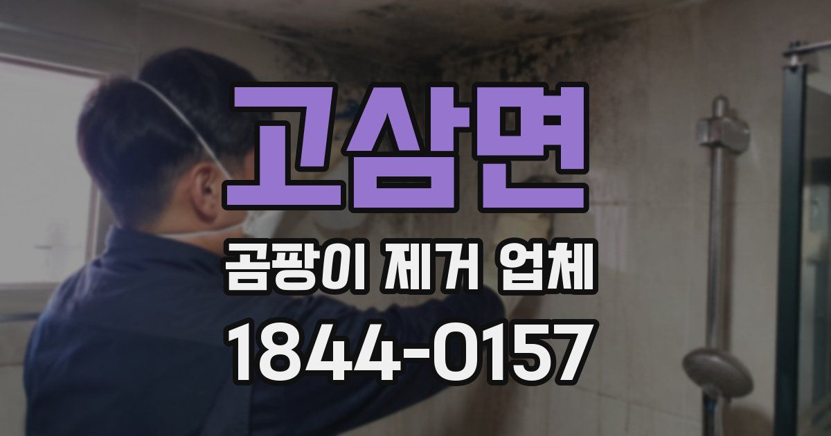 고삼면 곰팡이 제거 업체
