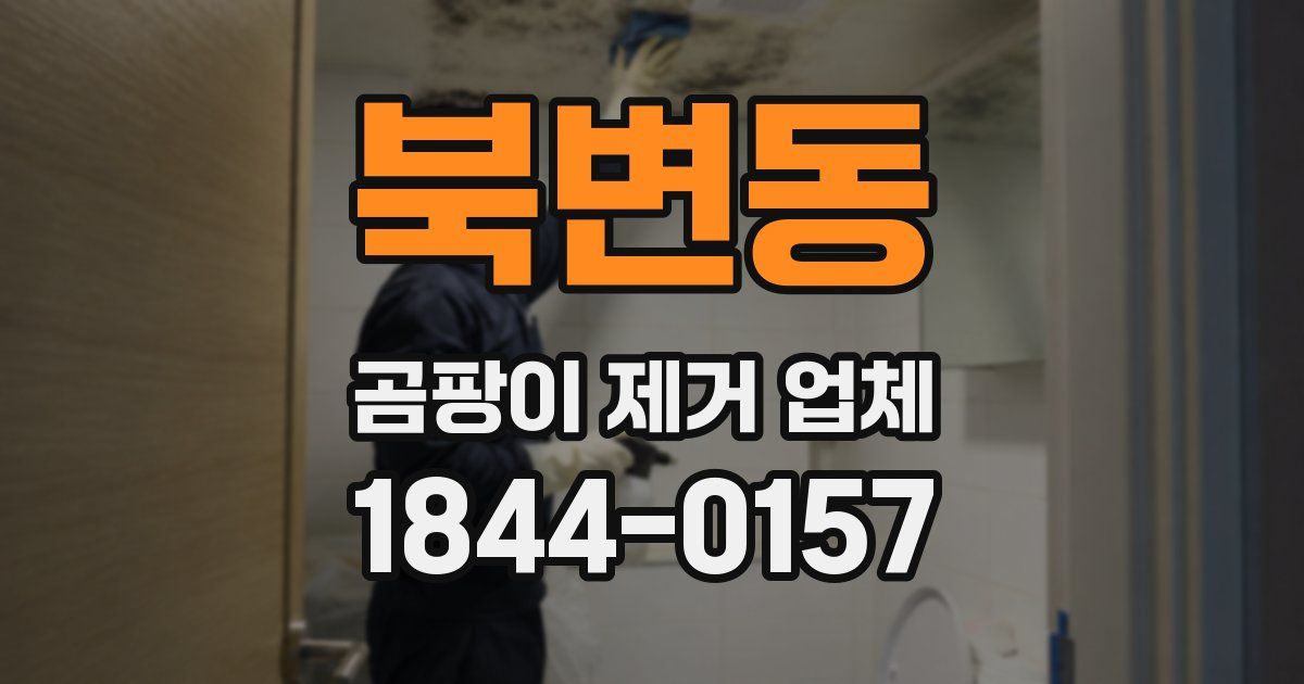 북변동 곰팡이 제거 업체
