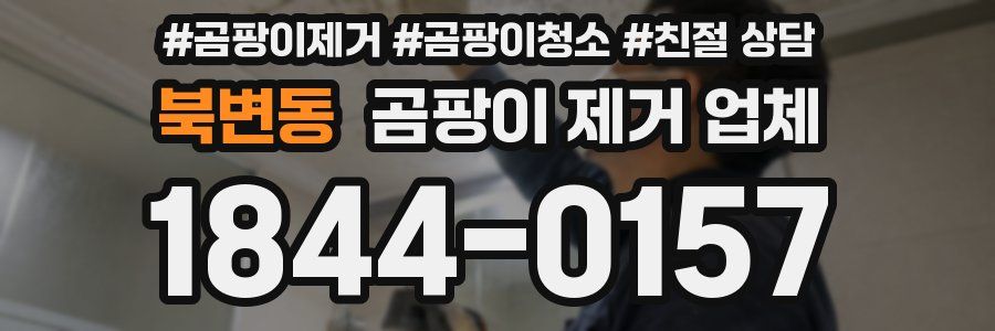 북변동 곰팡이 제거 업체