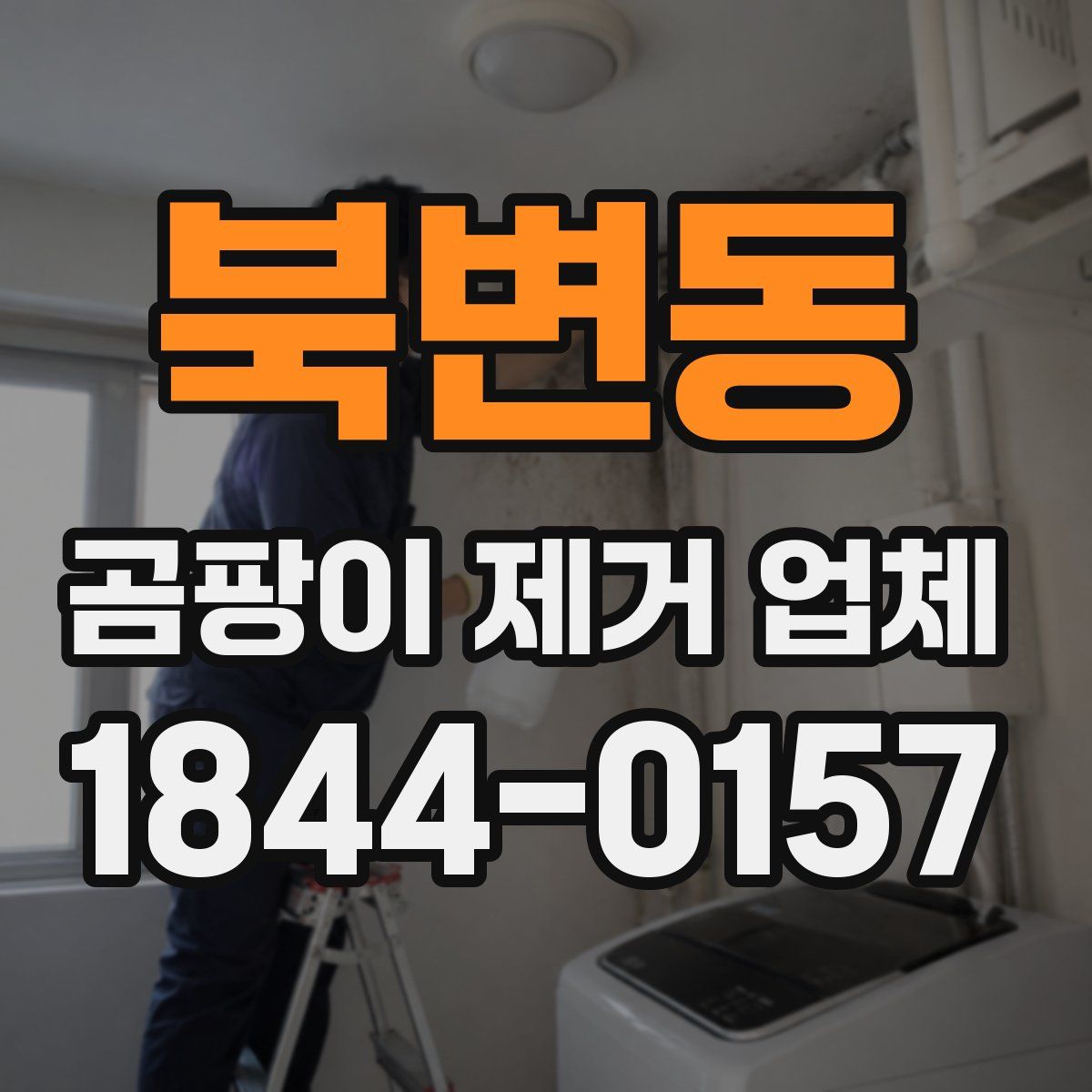 북변동 곰팡이 제거 업체
