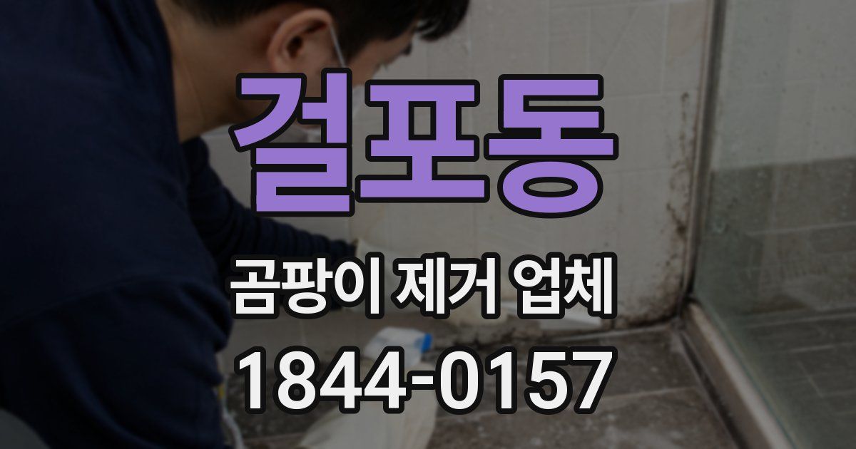걸포동 곰팡이 제거 업체
